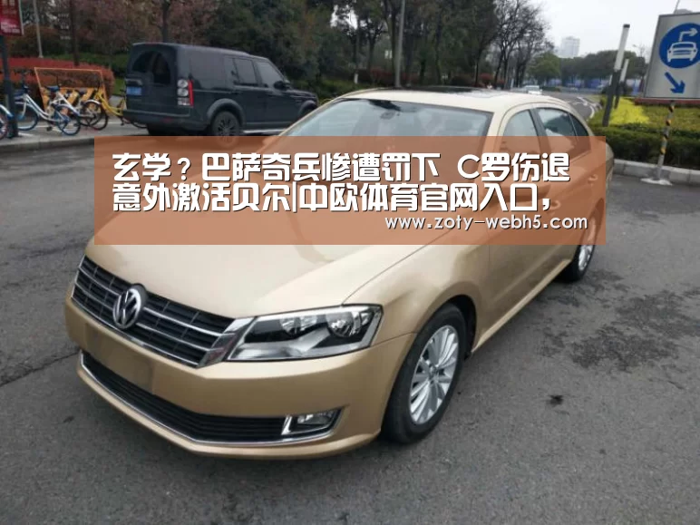中欧体育官网入口，中欧体育官方下载，中欧体育平台