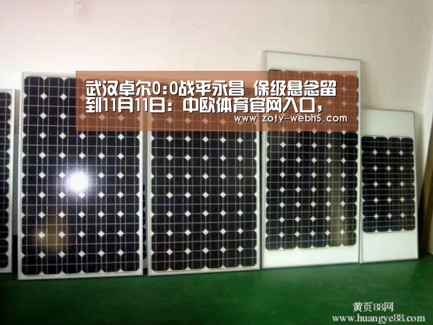 中欧体育官网入口，中欧体育官方下载，中欧体育平台